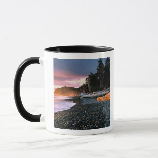 USA, Washington State, Olympic NP. Vågor sköljer m Mugg (Vänster)