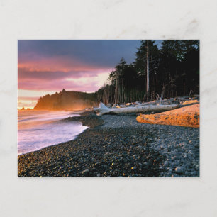 USA, Washington State, Olympic NP. Vågor sköljer m Vykort