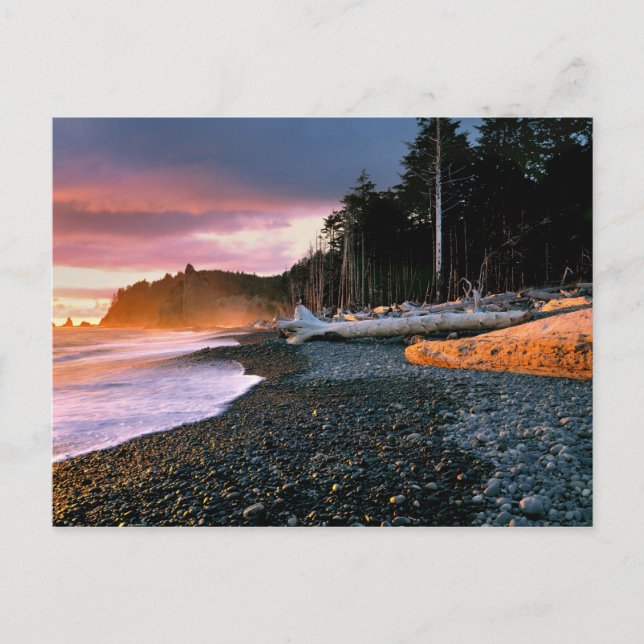 USA, Washington State, Olympic NP. Vågor sköljer m Vykort (Framsida)
