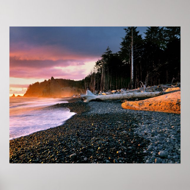 USA, Washington State, Olympic NP. Vinkara av Poster (Framsidan)