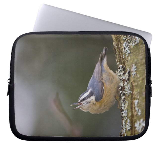 USA, Washington State, Red-brested Nuthatch Laptop Sleeve (Framsidan)