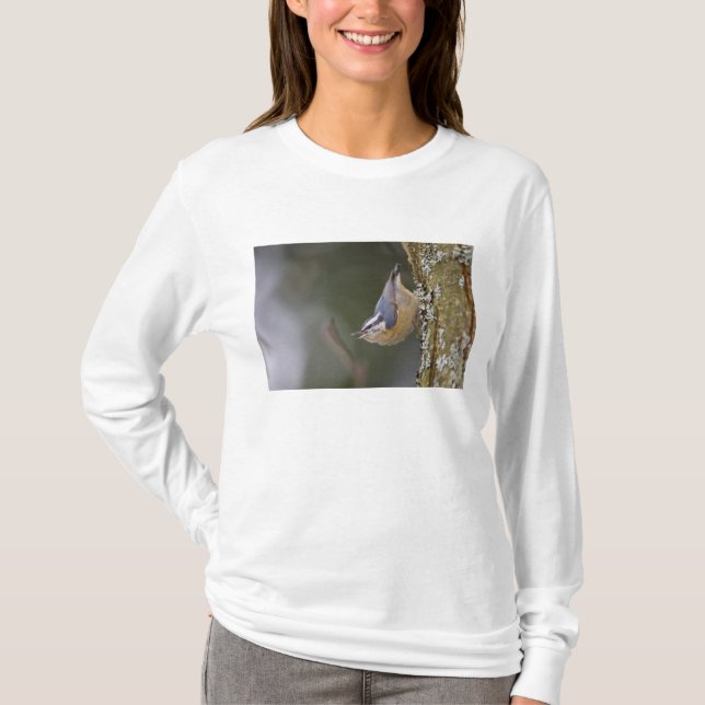 USA, Washington State, Rödbröstad nötväcka, Tee Shirt (Framsida)