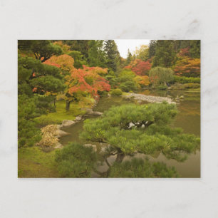 USA, Washington State, Seattle. Japanska Vykort
