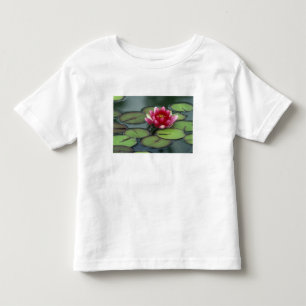 USA, Washington State, Seattle. Näckros och Tee Shirt