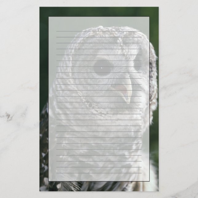 USA, Washington. Ugglor, Strix varia Brevpapper (Framsida)