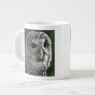 USA, Washington. Ugglor, Strix varia Jumbo Mugg