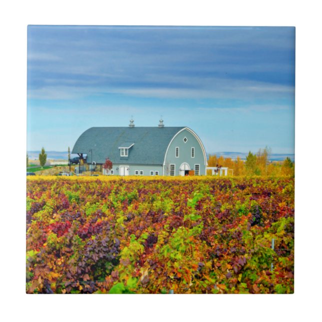 USA Washington, Walla Walla. Garnisonbäck Kakelplatta (Framsidan)