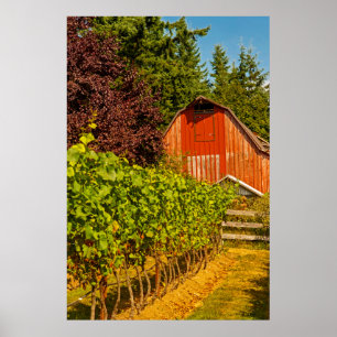USA Washington, Whidbey ö. Vinodling Poster