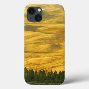 USA, Washington, Whitman County, Palouse, Wheat