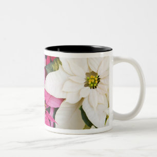 USA, Washington, Woodinville, Molbak's Nursery, 2 Två-Tonad Mugg