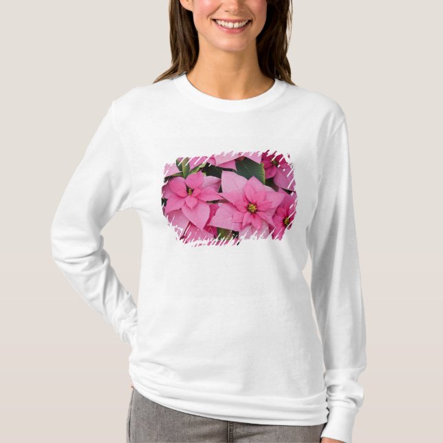 USA, Washington, Woodinville, Molbaks Nursery, 3 Tee Shirt (Framsida)