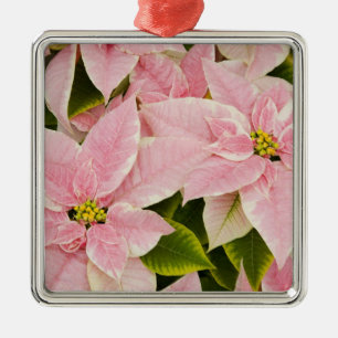 USA, Washington, Woodinville, Molbak's Nursery, 4 Julgransprydnad Metall