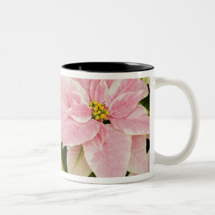 USA, Washington, Woodinville, Molbak's Nursery, 4 Två-Tonad Mugg