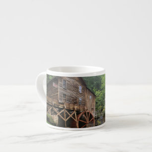 USA, West Virginia, Babcock SP. Rustic Glade Espressomugg