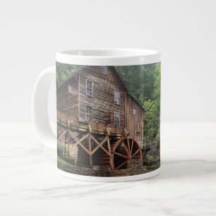 USA, West Virginia, Babcock SP. Rustic Glade Jumbo Mugg