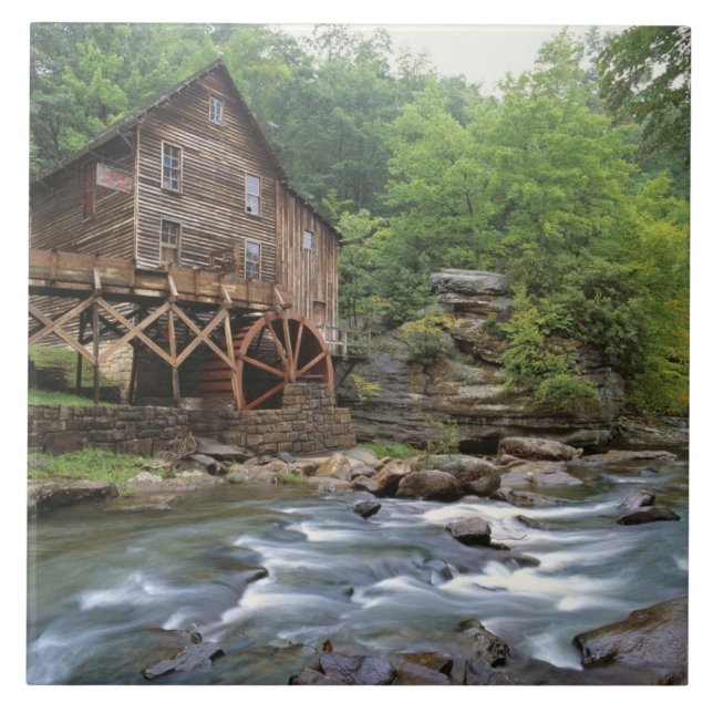 USA, West Virginia, Babcock SP. Rustic Glade Kakelplatta (Framsidan)