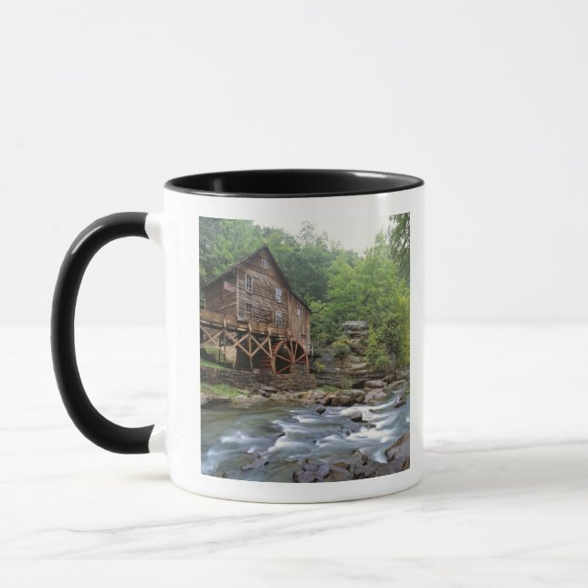 USA, West Virginia, Babcock SP. Rustic Glade Mugg (Vänster)