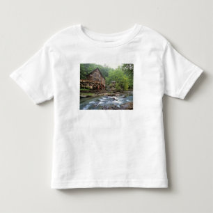 USA, West Virginia, Babcock SP. Rustic Glade T Shirt