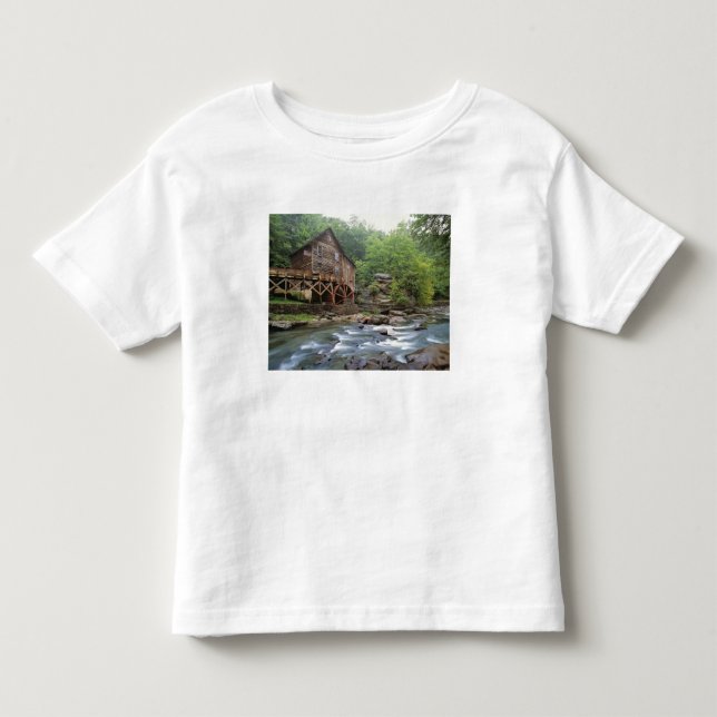 USA, West Virginia, Babcock SP. Rustic Glade T Shirt (Framsida)