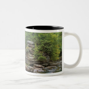 USA, West Virginia, Babcock SP. Rustic Glade Två-Tonad Mugg