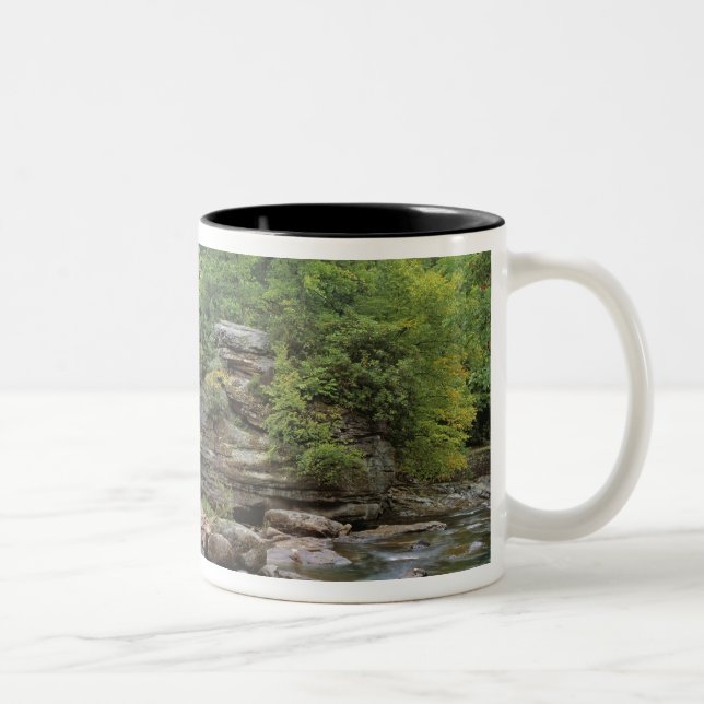 USA, West Virginia, Babcock SP. Rustic Glade Två-Tonad Mugg (Höger)