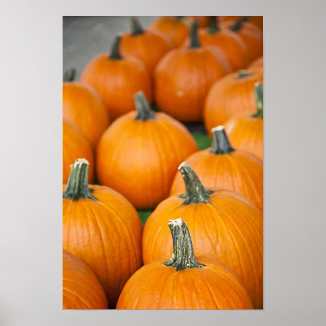 USA, West Virginia, Charleston. Capitol 2 Poster (Framsidan)