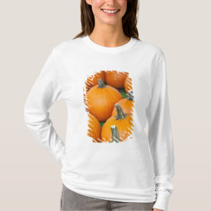 USA, West Virginia, Charleston. Capitol 2 Tee