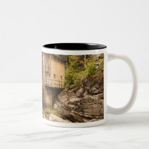 USA, West Virginia, Clifftop. Babcock State 2 Två-Tonad Mugg