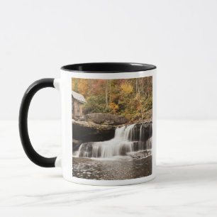 USA, West Virginia, Clifftop. Babcock State Mugg