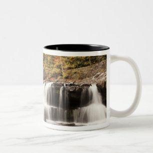 USA, West Virginia, Clifftop. Babcock State Två-Tonad Mugg