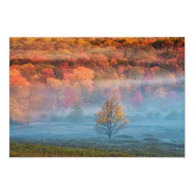 USA, West Virginia, Davis. Dimmig dalgång och Fototryck (Framsidan)