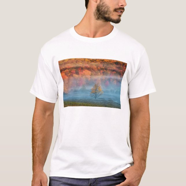USA, West Virginia, Davis. Dimmig dalgång och T Shirt (Framsida)