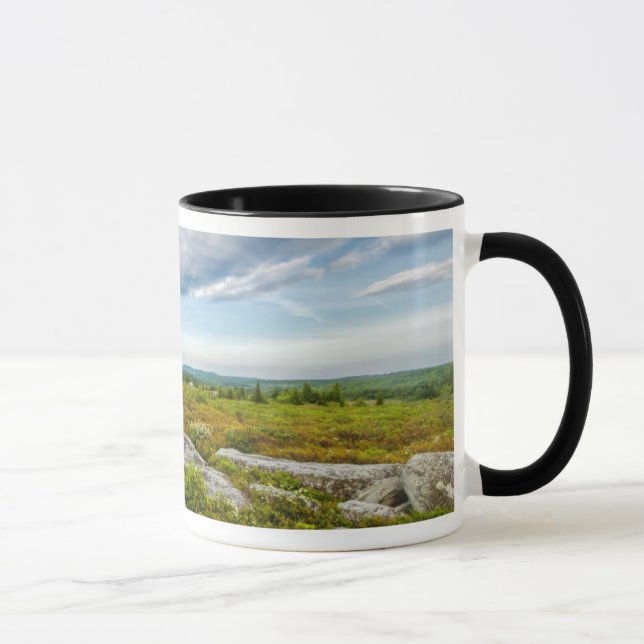 USA, West Virginia, Davis. Landskap i Dolly Mugg (Höger)