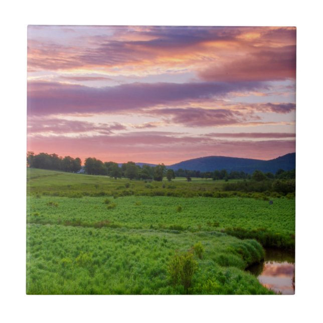 USA, West Virginia, Davis. Landskap Kakelplatta (Framsidan)