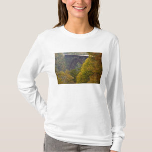 USA, West Virginia, Fayetteville. New River T Shirt