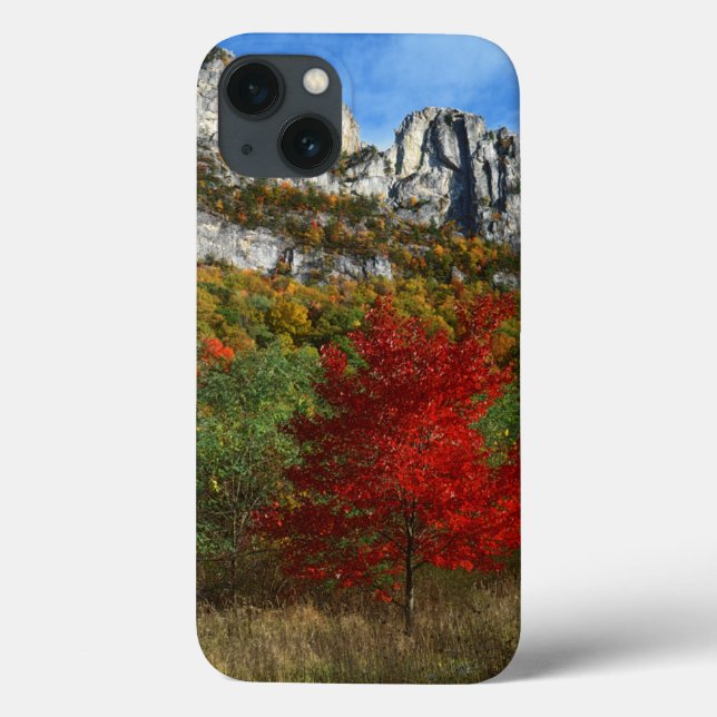 USA, West Virginia, Spruce Knob-Seneca Rocks (Baksida)