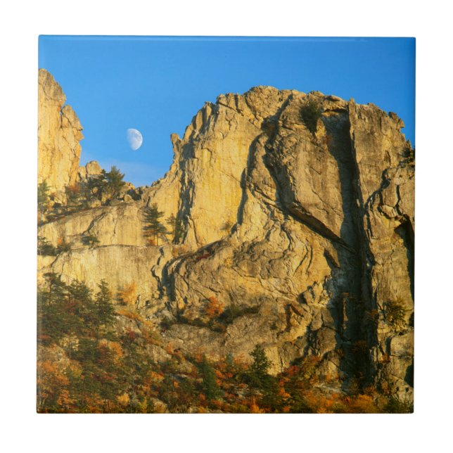 USA, West Virginia, Spruce Knob-Seneca Rocks 2 Kakelplatta (Framsidan)