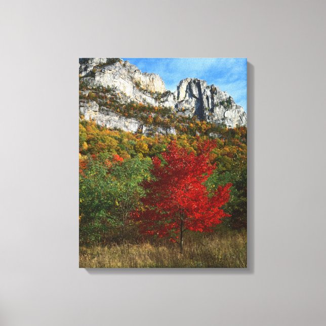 USA, West Virginia, Spruce Knob-Seneca Rocks Canvastryck (Framsida)