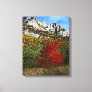 USA, West Virginia, Spruce Knob-Seneca Rocks Canvastryck