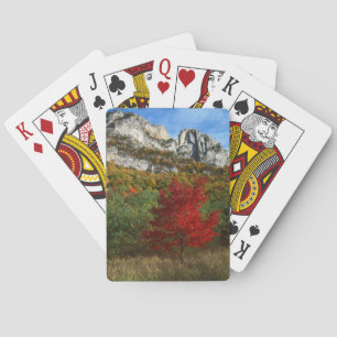 USA, West Virginia, Spruce Knob-Seneca Rocks Casinokort