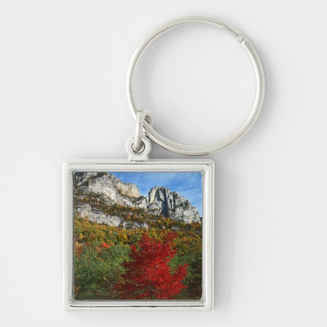 USA, West Virginia, Spruce Knob-Seneca Rocks Fyrkantig Silverfärgad Nyckelring (Framsidan)