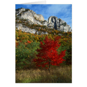 USA, West Virginia, Spruce Knob-Seneca Rocks Hälsningskort