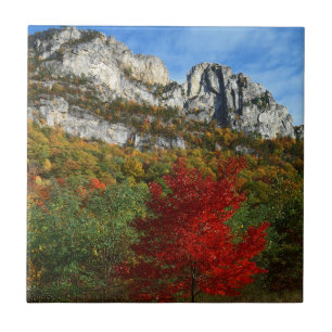 USA, West Virginia, Spruce Knob-Seneca Rocks Kakelplatta
