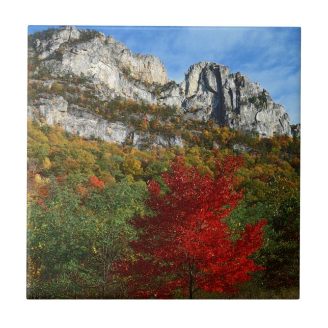 USA, West Virginia, Spruce Knob-Seneca Rocks Kakelplatta (Framsidan)