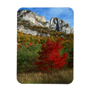 USA, West Virginia, Spruce Knob-Seneca Rocks Magnet