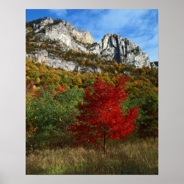 USA, West Virginia, Spruce Knob-Seneca Rocks Poster (Framsidan)