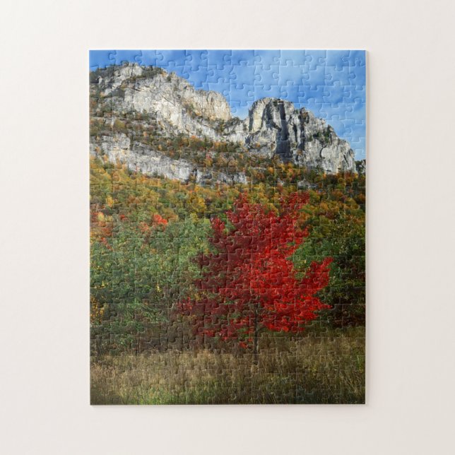USA, West Virginia, Spruce Knob-Seneca Rocks Pussel (Vertikal)