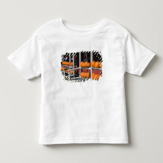 USA, WISCONSIN, Washburn: Lake Superiors strand, Tee (Framsida)