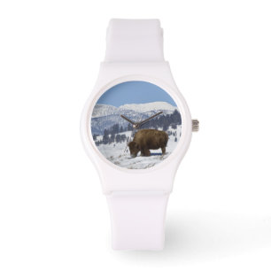USA, WY, Yellowstone NP, Amerikansk bison Bison Armbandsur