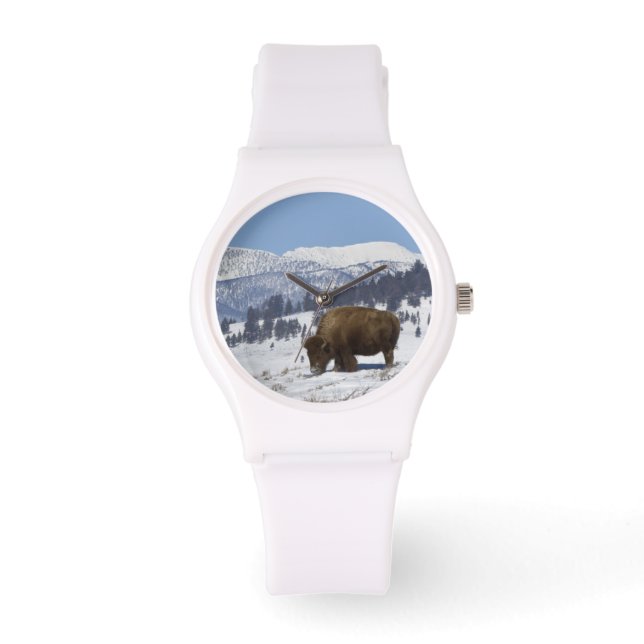 USA, WY, Yellowstone NP, Amerikansk bison Bison Armbandsur (Framsida)